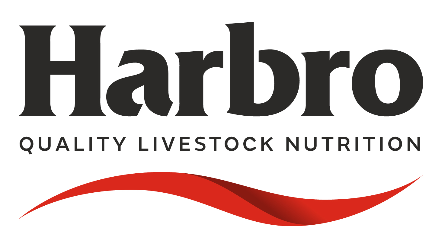 harbor_logo