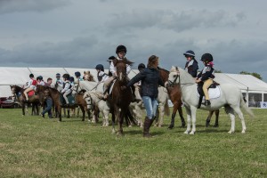 DSC 6636