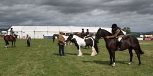 HORSE JUDGING IN THE MAIN RING KEITH SHOW 2016 DSC 6451