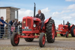 VINTAGE TRACTORS COMING INTO THE MAIN SHOW RING. No 33 Robert Duguid IN HIS Nuffield tractor post 1960 classic  6748