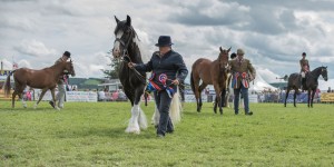 KEITH SHOW 2017 IBI-1952