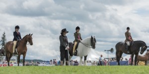 KEITH SHOW 2017 IBI-1956