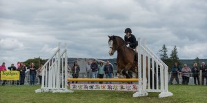 KEITH SHOW 2017 IBI-2192