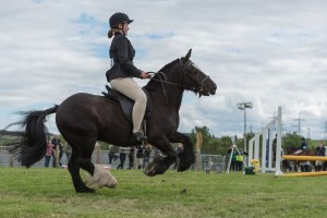 KEITH SHOW 2017 IBI-2208