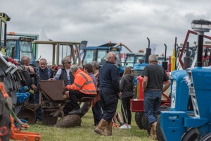 KEITH SHOW 2017 IBI-2260