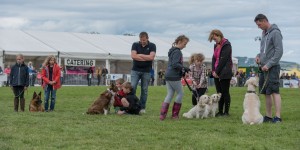 KEITH SHOW 2017 IBI-2272
