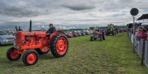 KEITH SHOW 2017 IBI-2373