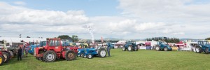 KEITH SHOW 2017 IBI-2395