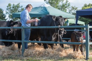 KEITH SHOW 2017 IBI-2473
