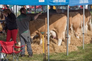 KEITH SHOW 2017 IBI-2476