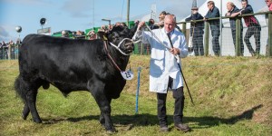 KEITH SHOW 2017 IBI-2541