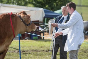 KEITH SHOW 2017 IBI-2549