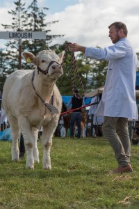 KEITH SHOW 2017 IBI-2578