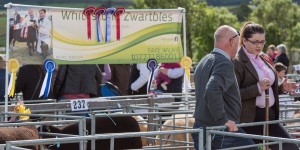 KEITH SHOW 2017 IBI-2650