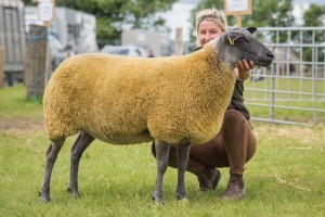 KEITH SHOW 2017 IBI-2664