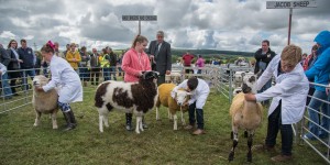 KEITH SHOW 2017 IBI-2667