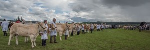 KEITH SHOW 2017 IBI-2872