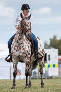 KEITH SHOW 2018 IBI -7413