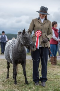 KEITH SHOW 2018 IBI -7421