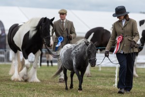 KEITH SHOW 2018 IBI -7426