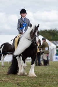 KEITH SHOW 2018 IBI -7431
