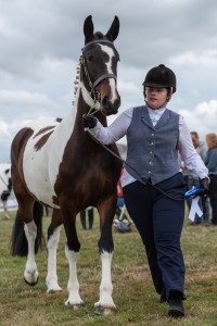 KEITH SHOW 2018 IBI -7434
