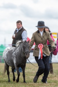 KEITH SHOW 2018 IBI -7444
