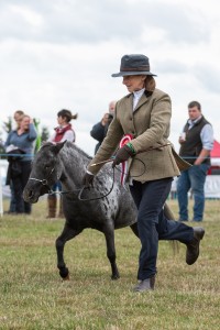 KEITH SHOW 2018 IBI -7446