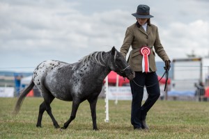 KEITH SHOW 2018 IBI -7454