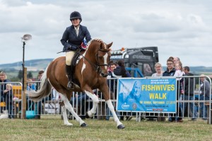 KEITH SHOW 2018 IBI -7532
