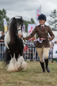 KEITH SHOW 2018 IBI -7578