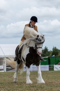 KEITH SHOW 2018 IBI -7623