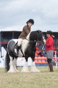 KEITH SHOW 2018 IBI -7629