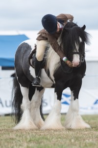 KEITH SHOW 2018 IBI -7632