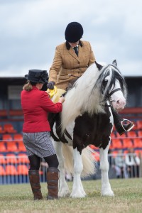 KEITH SHOW 2018 IBI -7634