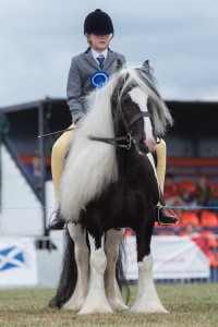 KEITH SHOW 2018 IBI -7635