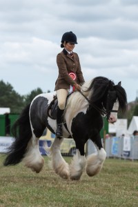 KEITH SHOW 2018 IBI -7637