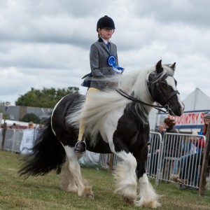 KEITH SHOW 2018 IBI -7639