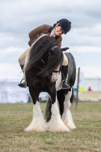 KEITH SHOW 2018 IBI -7642