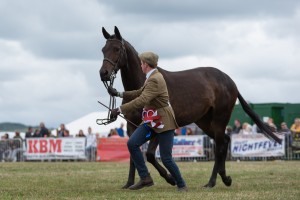 KEITH SHOW 2018 IBI -7653