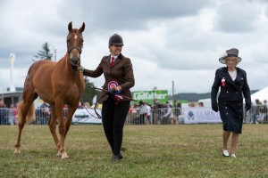 KEITH SHOW 2018 IBI -7687