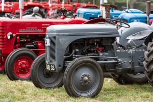 KEITH SHOW 2018 IBI -7922