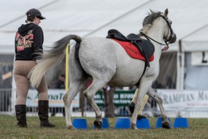KEITH SHOW 2018 IBI -7996