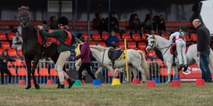 KEITH SHOW 2018 IBI -7999