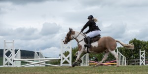 KEITH SHOW 2018 IBI -8052
