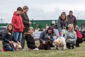 KEITH SHOW 2018 IBI -8067
