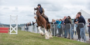 KEITH SHOW 2018 IBI -8153