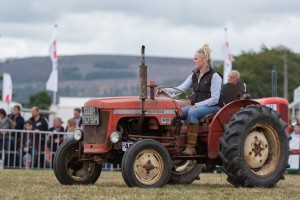 KEITH SHOW 2018 IBI -8198