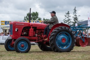 KEITH SHOW 2018 IBI -8213