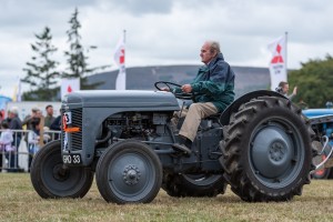 KEITH SHOW 2018 IBI -8219